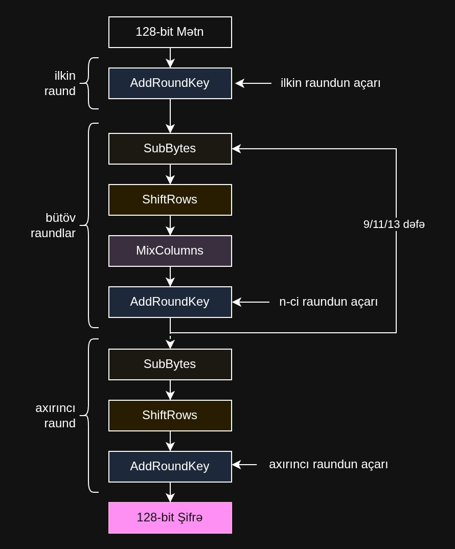 Qabaqcıl Şifrləmə Standartı (AES) Şifrləmə